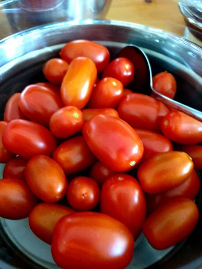 Sifnos Hotel Benaki Platis Gialos  المظهر الخارجي الصورة